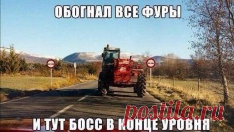 Смешные картинки с надписями . Тут забавно !!!