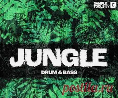 Sample Tools by Cr2 JUNGLE [WAV] free download mp3 music 320kbps