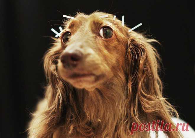 Ну разве я не красавица ?