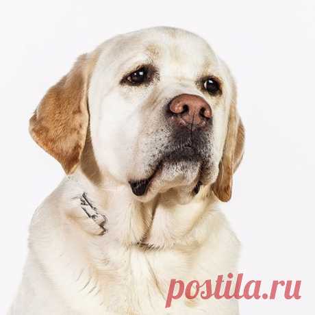 Так приятно, когда говорят хорошее о тех, кого мы любим. Анна Кирьянова