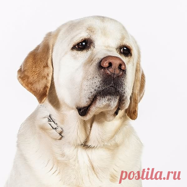 Так приятно, когда говорят хорошее о тех, кого мы любим. Анна Кирьянова