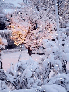 1202555.gif (240×320)