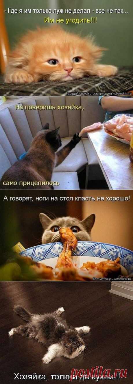 Мир интернета вКругуДрузей — социальная сеть