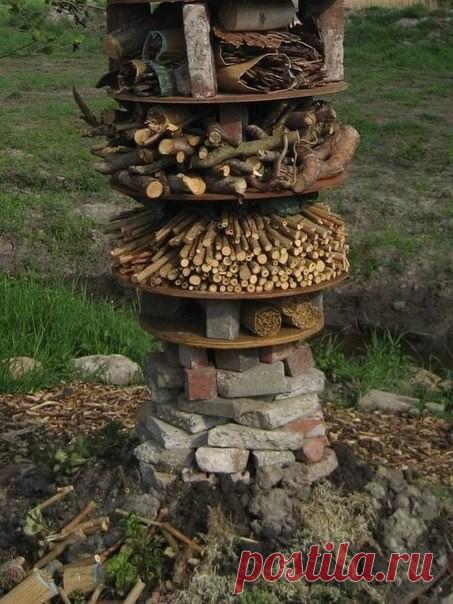 (54) Одноклассники