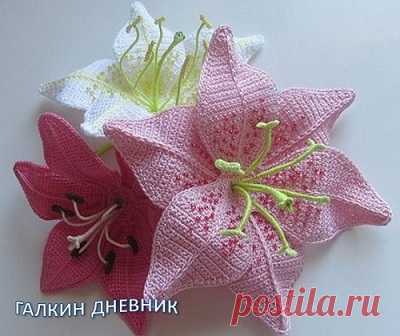 ВЕТКА ЛИЛИИ КРЮЧКОМ