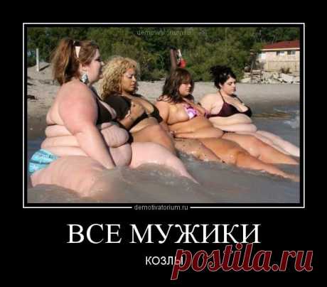 Мужицкий юмор! | Смехопанорама