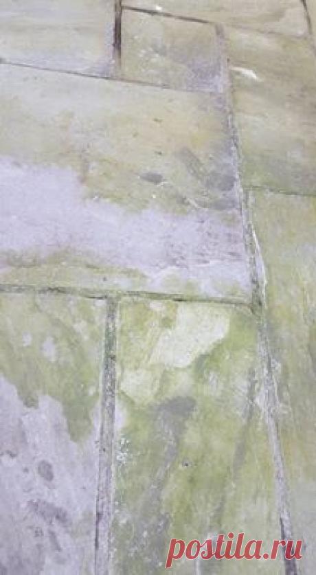 Садоводы огородники, нужен ваш профессиональный совет. Как очистить песчаный камень на патио? Пройдусь водоочисткой под напором, но зелень вьелась в камень . Может у кого какие секретики имеются?