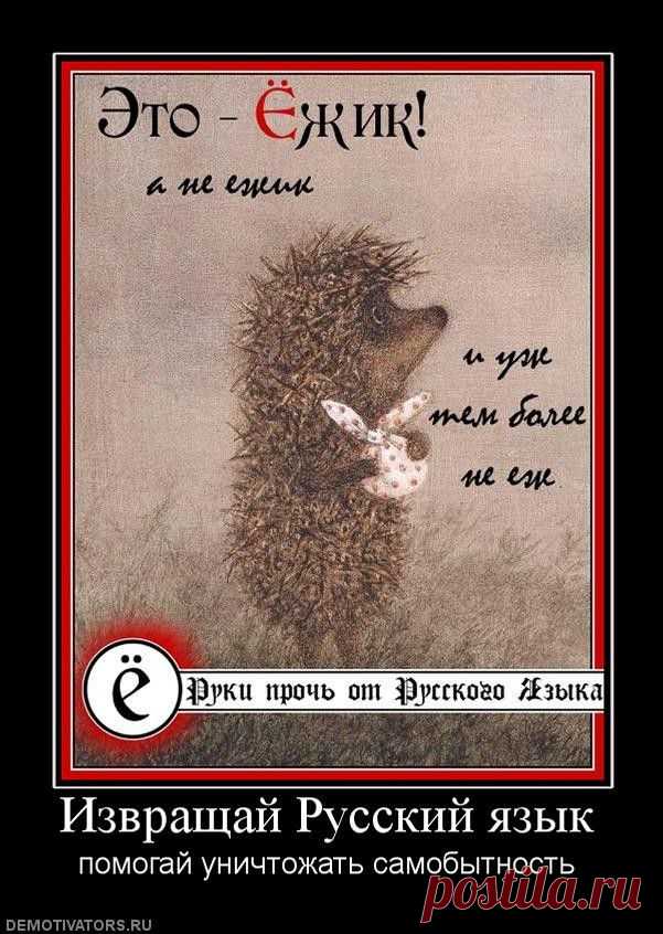 Вот так и живем | Обхохочешься