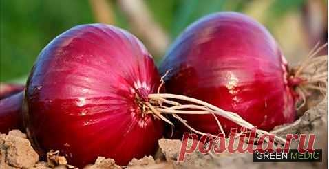 Вот как употреблять фиолетовый лук, чтобы избавиться от диабета, холестерина, гриппа, простуда, запора и укрепить сердце и сосуды! - Green Medic Статья стала полезной? Ставь лайк, и рассказывай о ней друзьям! Будьте здоровы!