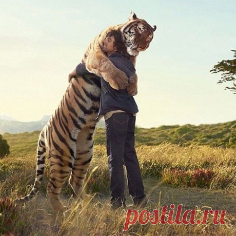 (99) Одноклассники