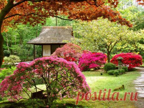 САД В ЯПОНСКОМ СТИЛЕ | Самоцветик