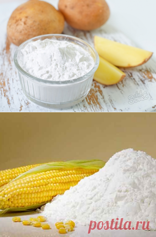Картофельный и кукурузный крахмал: в чем разница? | Четыре вкуса