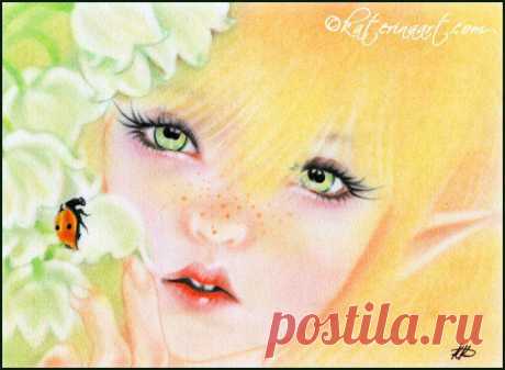 Ladybug
