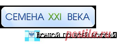 Глициния КИТАЙСКАЯ - Глициния