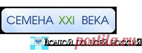 Глициния КИТАЙСКАЯ - Глициния