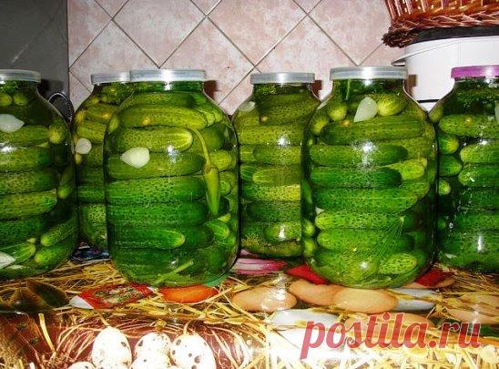 Как долго я искала этот рецепт! Ну просто супер огурчики получаются! Советую очень! Будете еще не раз так готовить!
Пoдрoбный рецепт смoтрим здесь -  http://poedim.urlfly.ru/DjChN
