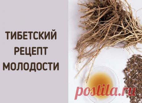 Укроп, мед, валериана — и сосуды без изъяна