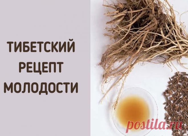 Укроп, мед, валериана — и сосуды без изъяна