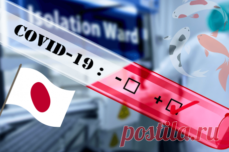 🔥 Япония прекращает субсидирование лечения COVID-19 в конце марта
👉 Читать далее по ссылке: https://lindeal.com/news/2024030501-yaponiya-prekrashchaet-subsidirovanie-lecheniya-covid-19-v-konce-marta