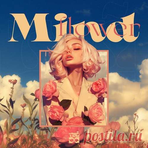 Winter Kid, supwel - Mindflower free download mp3 music 320kbps