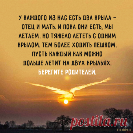 Мудрость жизни.