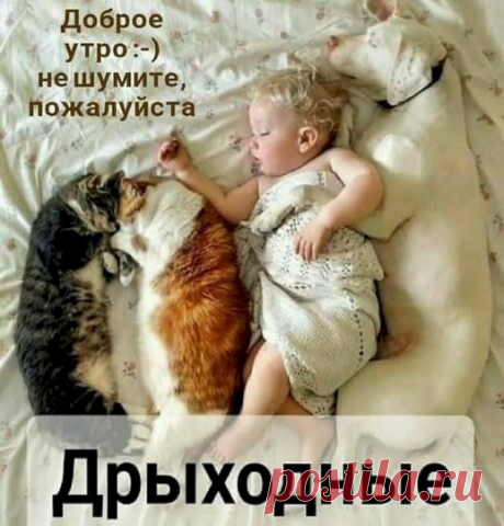 78200c19.jpg (518×540)