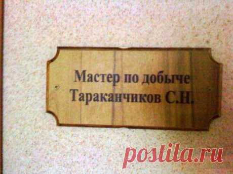 Люди на своём месте