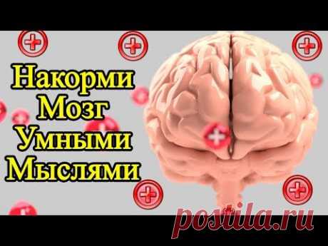🔴✦➤● 28 мудрых мыслей для мотивации на успех – Эти правильные мысли о жизни помогут изменить её к лучшему | ✦ 1000 Секретов Развития Силы