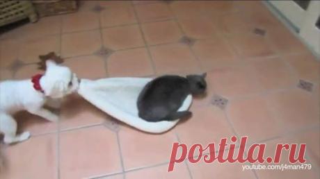HuffPost Italia
