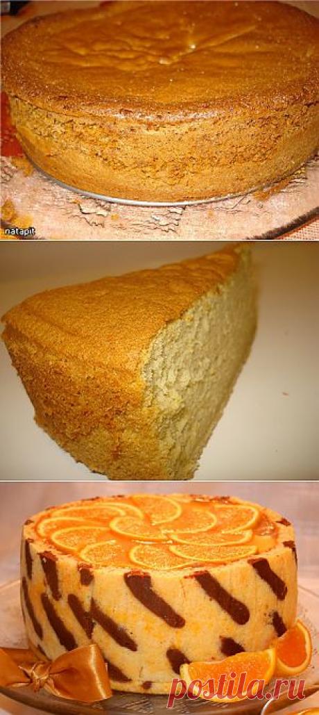 Как испечь бисквит идеально?! Несколько советов от Наташи - natapit. Кулинар.ру – более 99 000 рецептов с фотографиями.