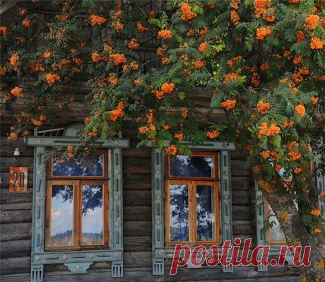 Ой рябина, рябинушка....