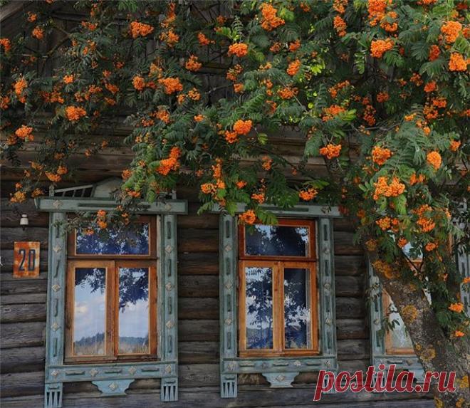 Ой рябина, рябинушка....