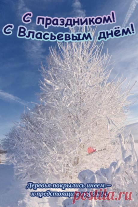 С Власьевым днем! Здоровья скоту, мира дому, скорой весны! Открытки на Власьев день!