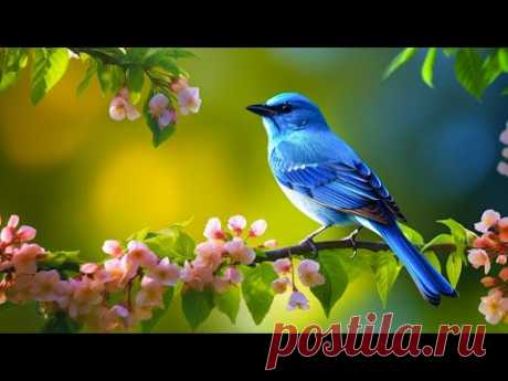 Успокаивающая музыка для расслабления • Музыка для снятия стресса, учебная музыка, лечебная музык...