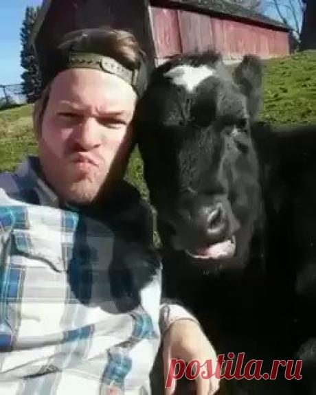 Really Best Friends !!