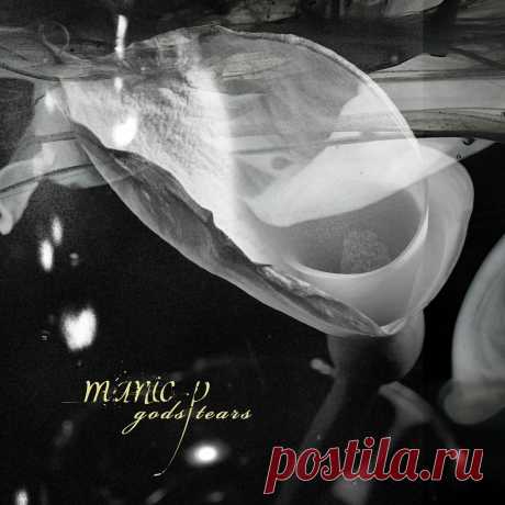 Manic P - Gods Tears (Reissue) (2025) 320kbps / FLAC