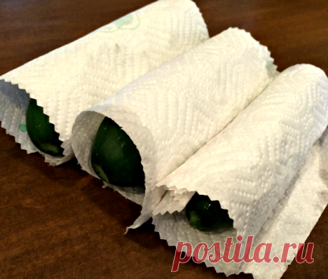 Как сохранить огурцы свежими в холодильнике на месяц, а то и два | садоёж | Яндекс Дзен