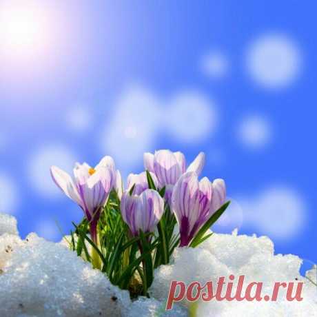 КАКОЙ СЕГОДНЯ ПРАЗДНИК? 16 Февраля 2021 г. – Вторник • Международный день блина (International Pancake Day)71 год • День свежего ананаса • Жирный вторник (Mardi Gras, Shrove Tuesday) • День разведки ВМФ РФ • Починки • День памяти праведных Симеона Богоприимца и пророчицы Анны • День поиска запахов • День киотского протокола (Kyoto Protocol Day)16 лет • День архива Министерства Энергетики РФ82 года День памяти архиепископа Джанани Лувума - Уганда6 лет • День помощи ворчунам (Do a Grouch a Favor…