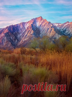 Download Wallpaper 240x320 Mountains, Reeds, Grass, Sky Mobile Phone 240x320 HD Background