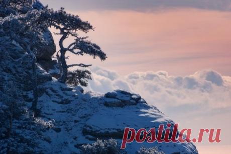 Зимний Крым