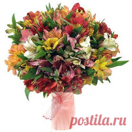 В наличии Альстрометрии - 350 тенге веточка