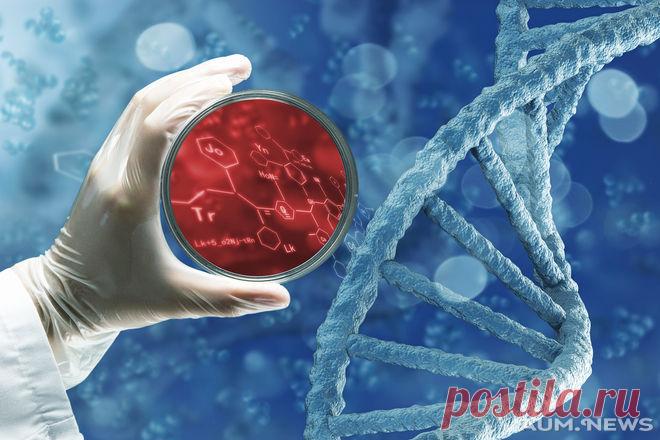 Интересные факты из мира генетики: что не передаётся от отца к сыну  
  
1. Интеллект не передается от отца к сыну. То есть, если вы гений, то ваш сын 100% не унаследует ваших генов.
2. Идиотизм не передается от отца к сыну. Если вы законченный кретин, то ваш сын не б…