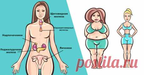 5 эфирных масел, которые могут помочь отрегулировать гормоны