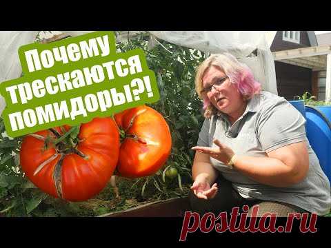 Ландшафтный дизайн дачного участка своими руками