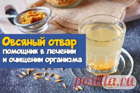 Отвар овса подарит крепкое здоровье и очистит организм