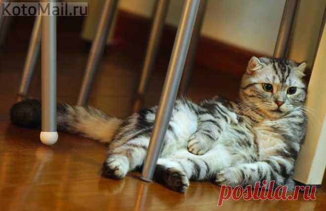 Ты, это... Заходи, если что