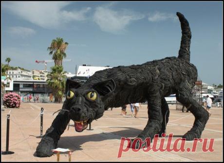 Лазурный берег, Канны. | Фотографии Светлана Верхошинская | 8083 фото