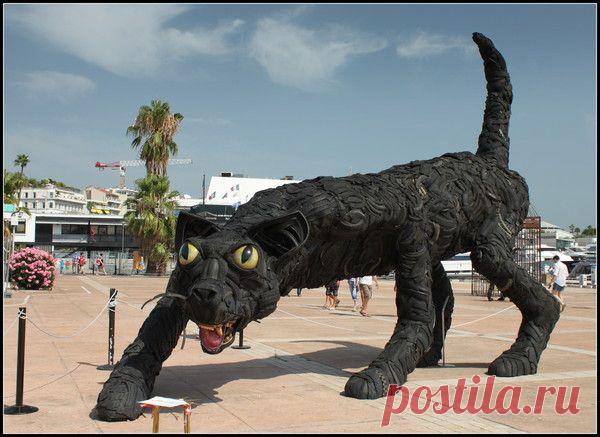 Лазурный берег, Канны. | Фотографии Светлана Верхошинская | 8083 фото