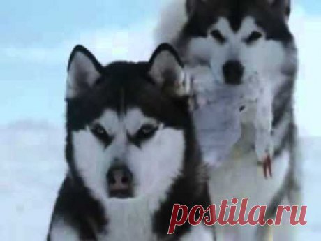 Enigma-Era-Gregorian - Moment Of Peace
