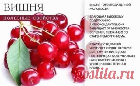 (70) Одноклассники